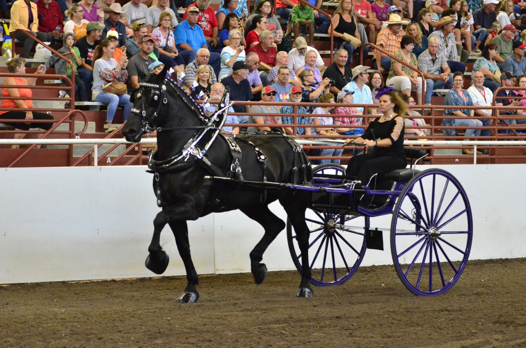 8-25-19 Draft Horse Hitch Final (26).JPG